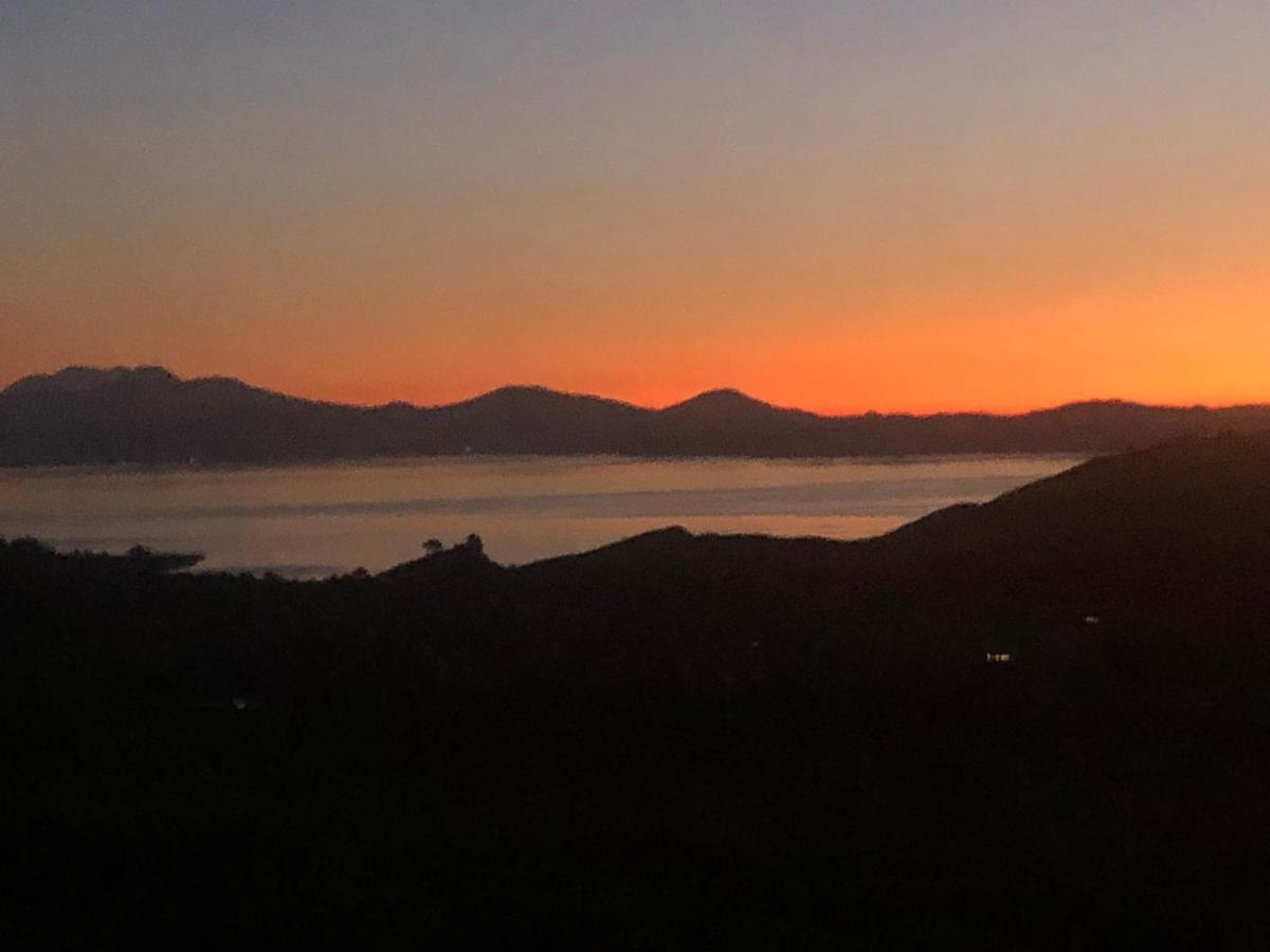 Whakaipo Bay Cabin Retreat 타우포 호 외부 사진