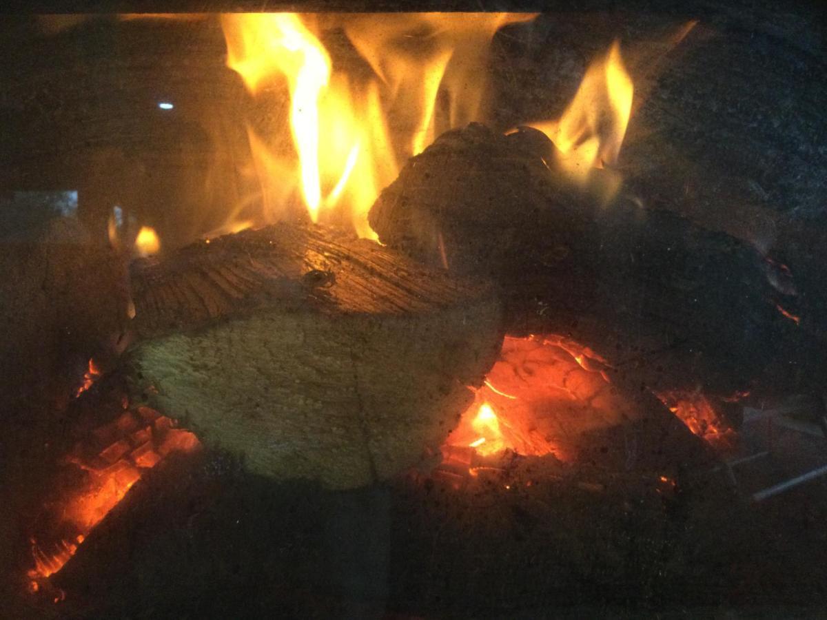 Whakaipo Bay Cabin Retreat 타우포 호 외부 사진