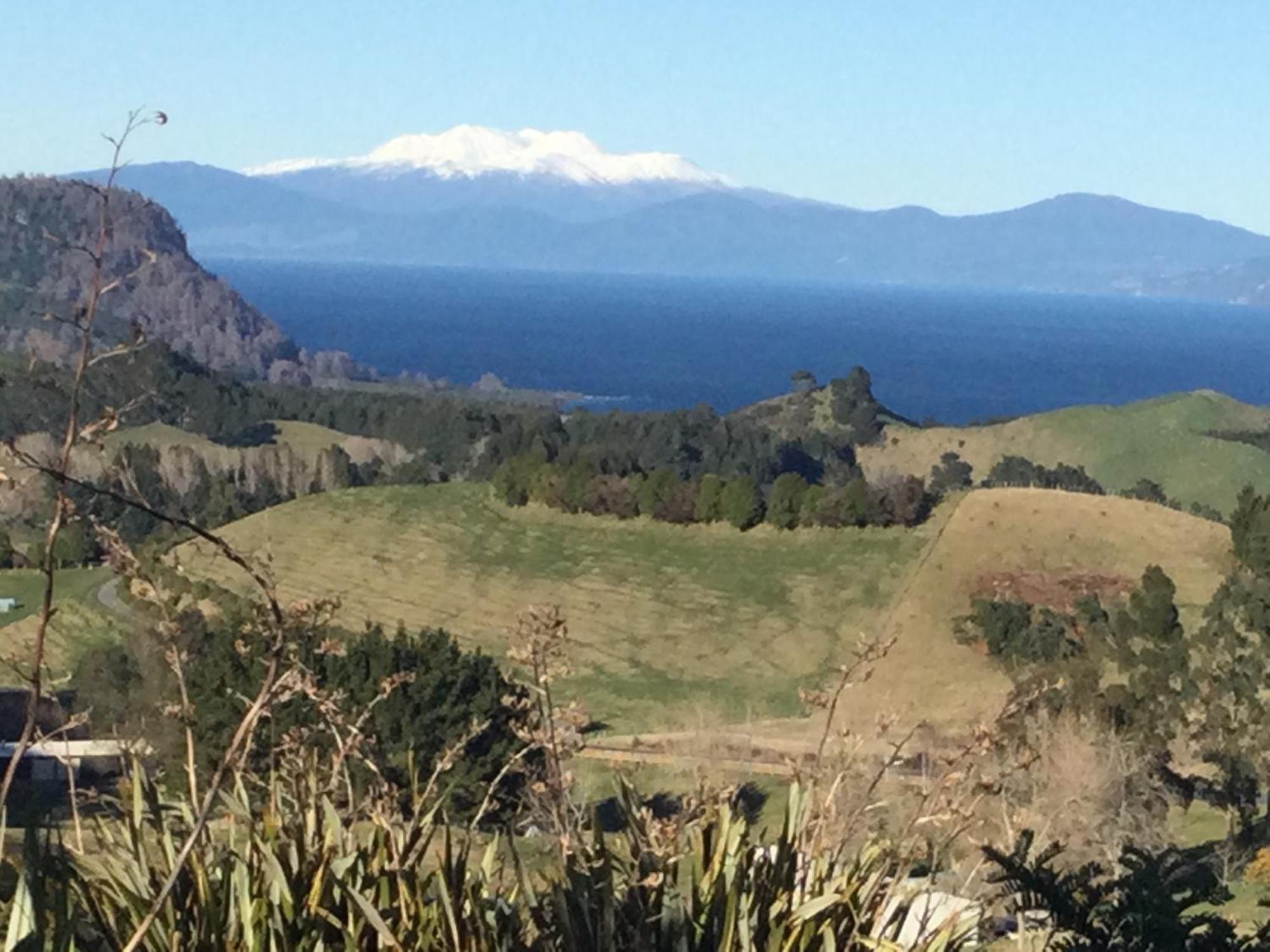 Whakaipo Bay Cabin Retreat 타우포 호 외부 사진